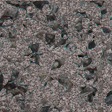 Black diamond